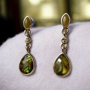 Elegant Abalone Drop Earrings